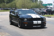 Black Mustang